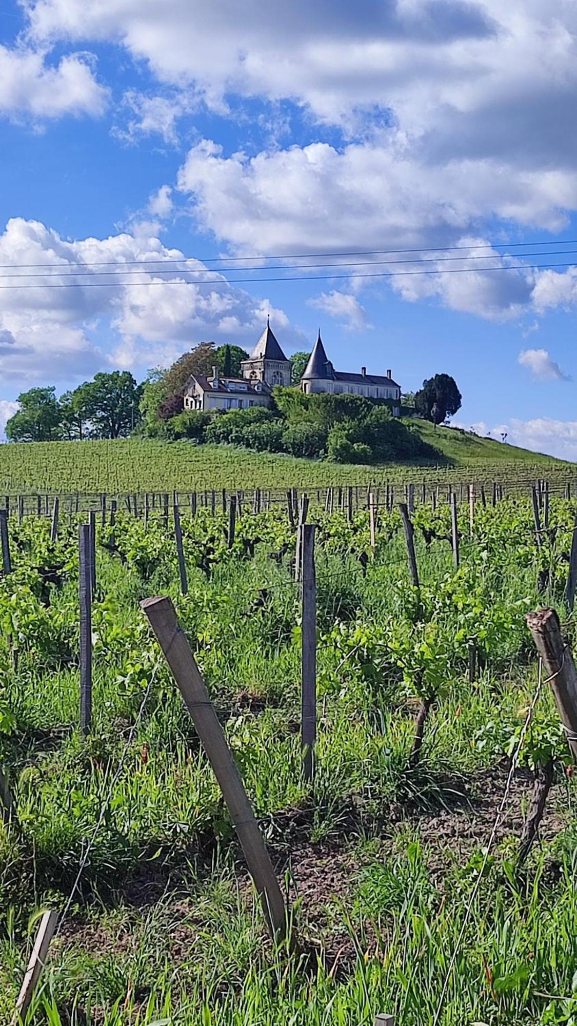 Maison Charmeilles - La Suite Pomerol Fronsac  Εξωτερικό φωτογραφία