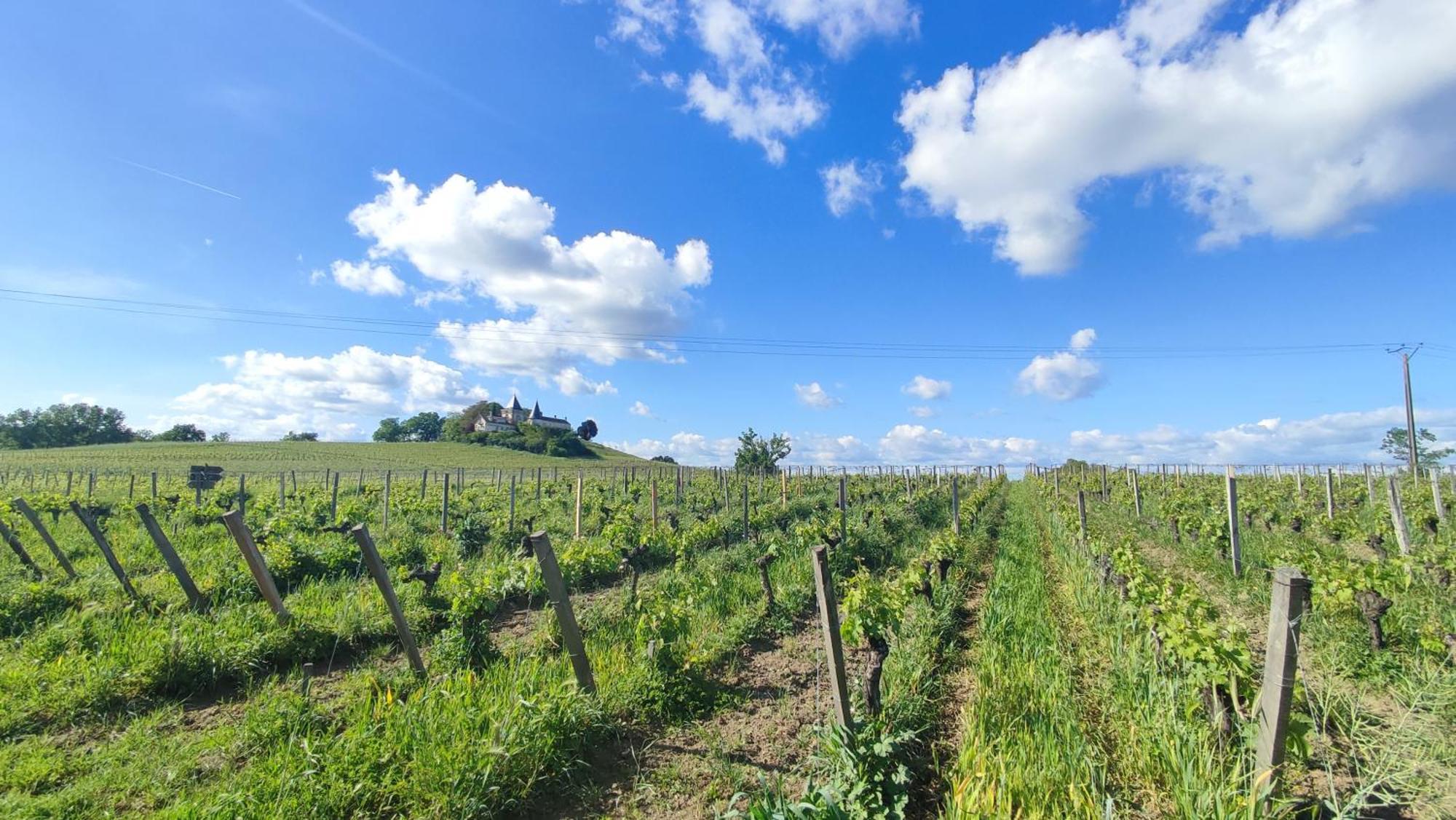 Maison Charmeilles - La Suite Pomerol Fronsac  Εξωτερικό φωτογραφία